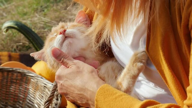 A red-haired girl, dressed in a red jacket, holds a red cat in her arms. Thanksgiving. Family vacation in nature