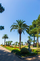 Palm trees and colorful flowerbeds in the park