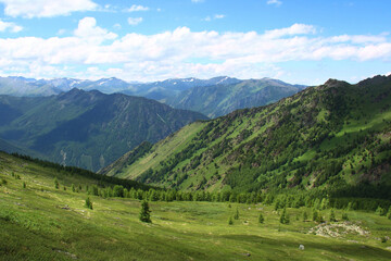 Fototapeta na wymiar Alpine valley in Altai with huge mountains in summer, grass and trees grow on green slopes, mountain ranges in the distance, sky with clouds, clear summer day