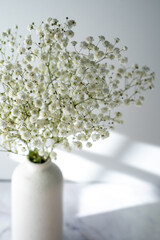 bouquet of gypsophila, white small flowers on a gray background, space for text,