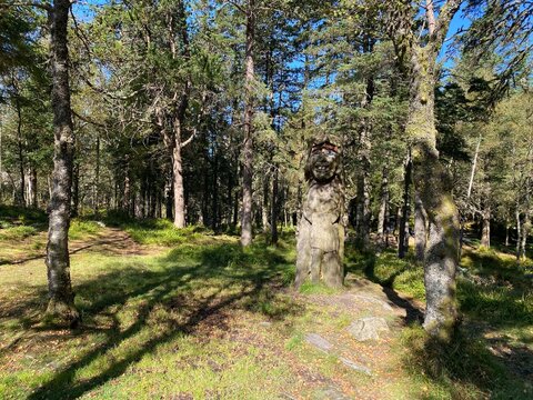 Trollgarten auf dem Berg Floyen in Bergen, Norwegen