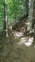 Obraz premium Tour du Lac Pavin, Auvergne, France