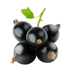 Black currants cut out