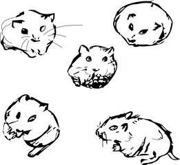 Mice, hamsters. Little animals. Fuzzy lines. Sketch with animals