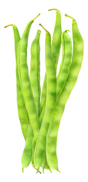 Bunch of raw green beans standing vertical, cut out