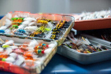 Multiple colorful salmon flies in plastic fly boxes. Some flies are bumble bee style, nymph and dry flies. The angler bait has white feathers as wings. The fishing hooks are covered in colorful string - obrazy, fototapety, plakaty