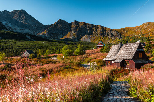 Wooden shelter in Carpathia Mountains. Meadows on Hala Gasienicowa in Tatras, Poland