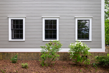 Two double hung windows with black wood frames, multiple panes of glass, in a tan color wooden wall. The wall has narrow clapboard with white trim. There are two green bushes in front of the windows. - Powered by Adobe