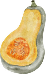 Pumpkin harvest Watercolor clipart, png element