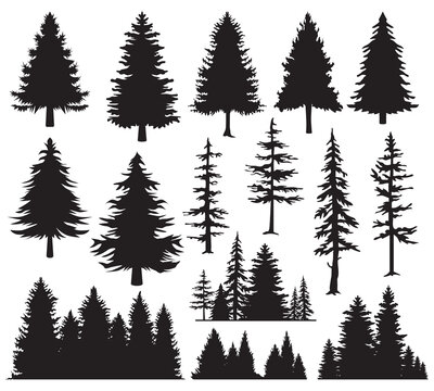 Set of fir trees. Silhouette forest view. Pine trees isolated on white background