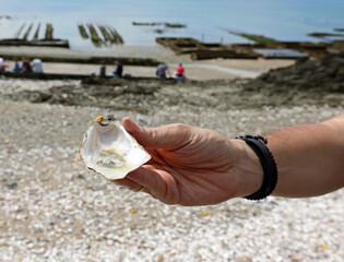 hand of man eating raw oyster on the beach in the city of Cancale in France