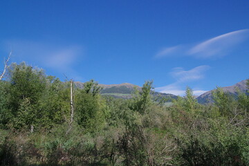 Landschaft im Vinschgau