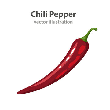 Vector red hot chili pepper
