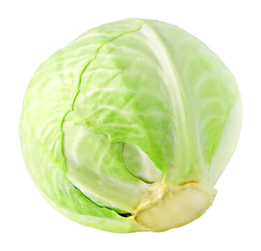 One cabbage head cut out