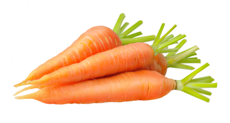 Heap of raw carrots cut out