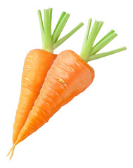 Two carrots top view, cut out