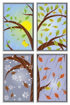 Tree in winter, spring, summer and autumn, - all seasons in one window