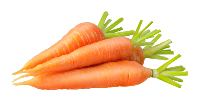 Heap of raw carrots cut out