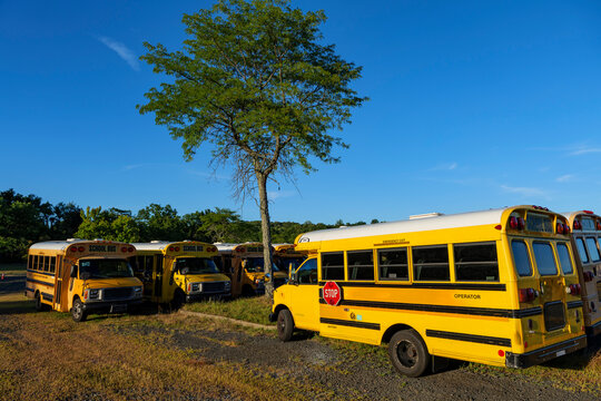 Yellow school bus against blue sky. Stop sign on a side. School bus parking. Back to school concept. High quality photo