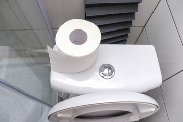White roll of toilet paper on a toilet tank in a washroom, digestive problems concept