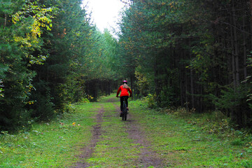 Fototapeta premium A girl in sportswear and a helmet rides a bicycle through the forest. Back view