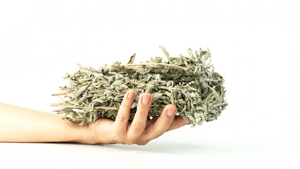 Dried sage leaves. Bunch of dried sage herb. Herbal tea ingredients. Selective focus