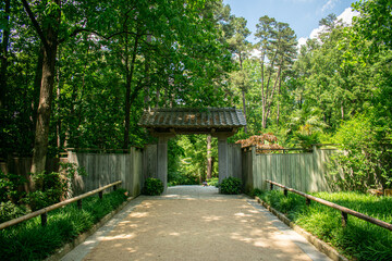 Eastern tori gate with a small child resting on the path leading to a forested garden