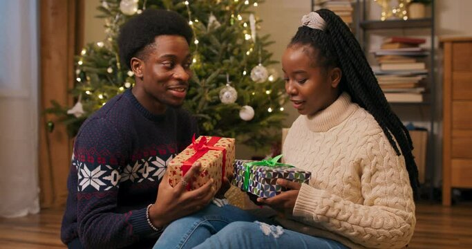 Loving couple of African appearance sitting by the Christmas tree holding gifts. They are dressed in warm sweaters. The girl and the boy prepared surprise, communicate, smile and look at the camera.