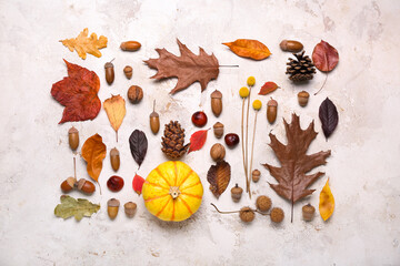 Composition with natural forest decor on light background