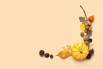 Beautiful composition with natural forest decor on color background