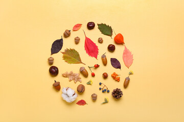 Autumn forest decor on color background