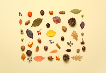 Autumn forest decor on color background