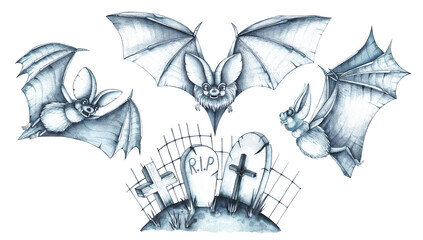 Watercolor bats in the cemetery