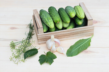 Fresh cucumbers in a wooden box and herbs for canning on a wooden background