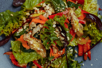 Healthy organic fresh salad with tomatoes, peppers and chicken Masala. Grilled chicken breasts and fresh vegetables in plate