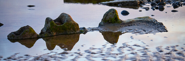 Nessie on the beach