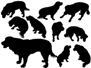 silhouettes of animals dog