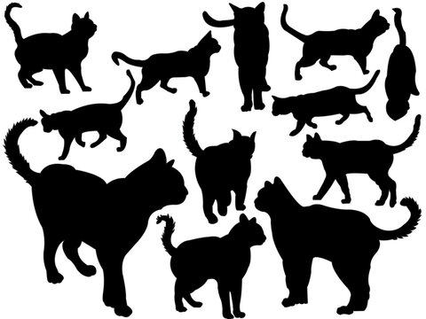 cat vector silhouettes
