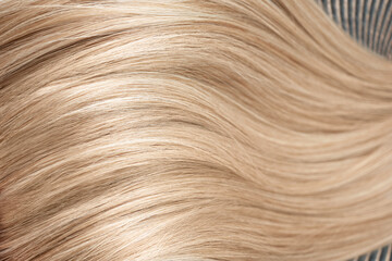 A strand of blond hair on a white background. Close-up.