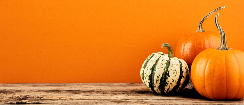 Decorative pumpkins on wooden table on orange background. Harvest, Thanksgiving Day banner design.