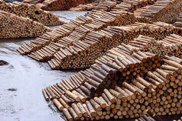 entrindete Baumstämme in einem Rundholzlager