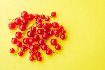 Sprigs of red currant on yellow background. Fresh bright currant. Sweet juicy currant berries. Harvesting farm organic food