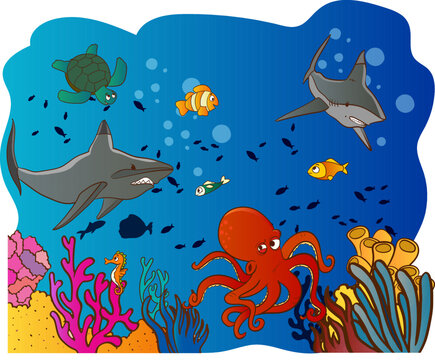 Ocean Life Under the Sea
