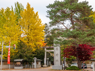 秋の帯廣神社（北海道）
