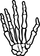 Hand skeleton
