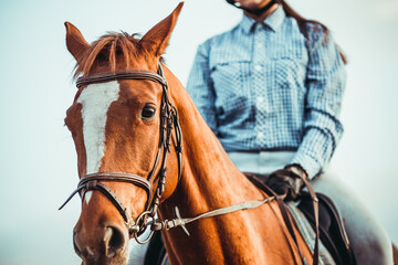 Obraz premium Young woman athlete rides a horse. Jumping training in the spring in the field.