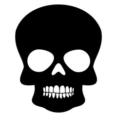 Human skull vector