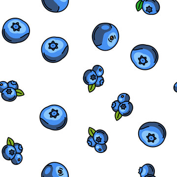 blueberry biberry blue berry vector seamless pattern thin line illustration