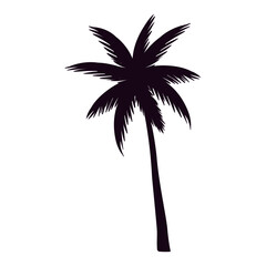 tropical tree palm silhouette