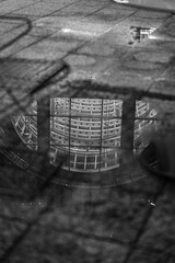 B&W puddle reflection of glass building at night - Charlotte, NC